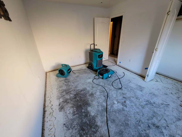 Best Water damage contractors near me  in Leesville, LA