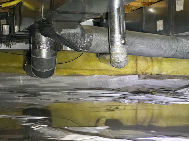 Best Mold removal after water damage  in Leesville, LA