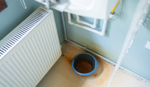 Best Water damage cleanup near me  in Leesville, LA