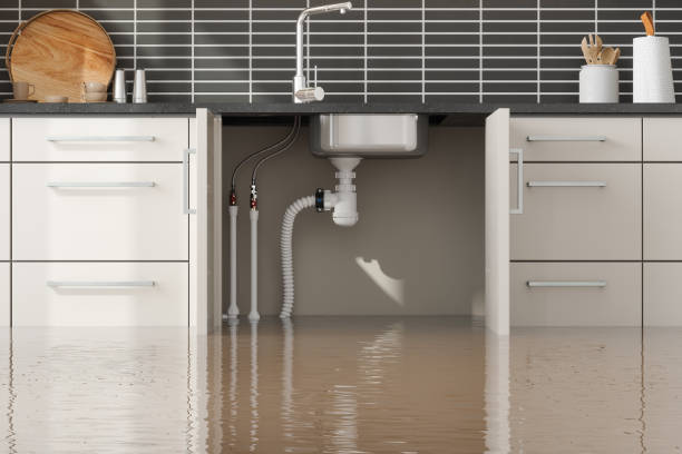 Local water damage restoration in LA