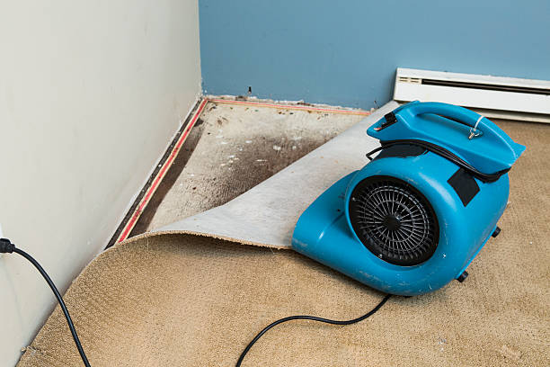Best Flood damage cleanup  in Leesville, LA